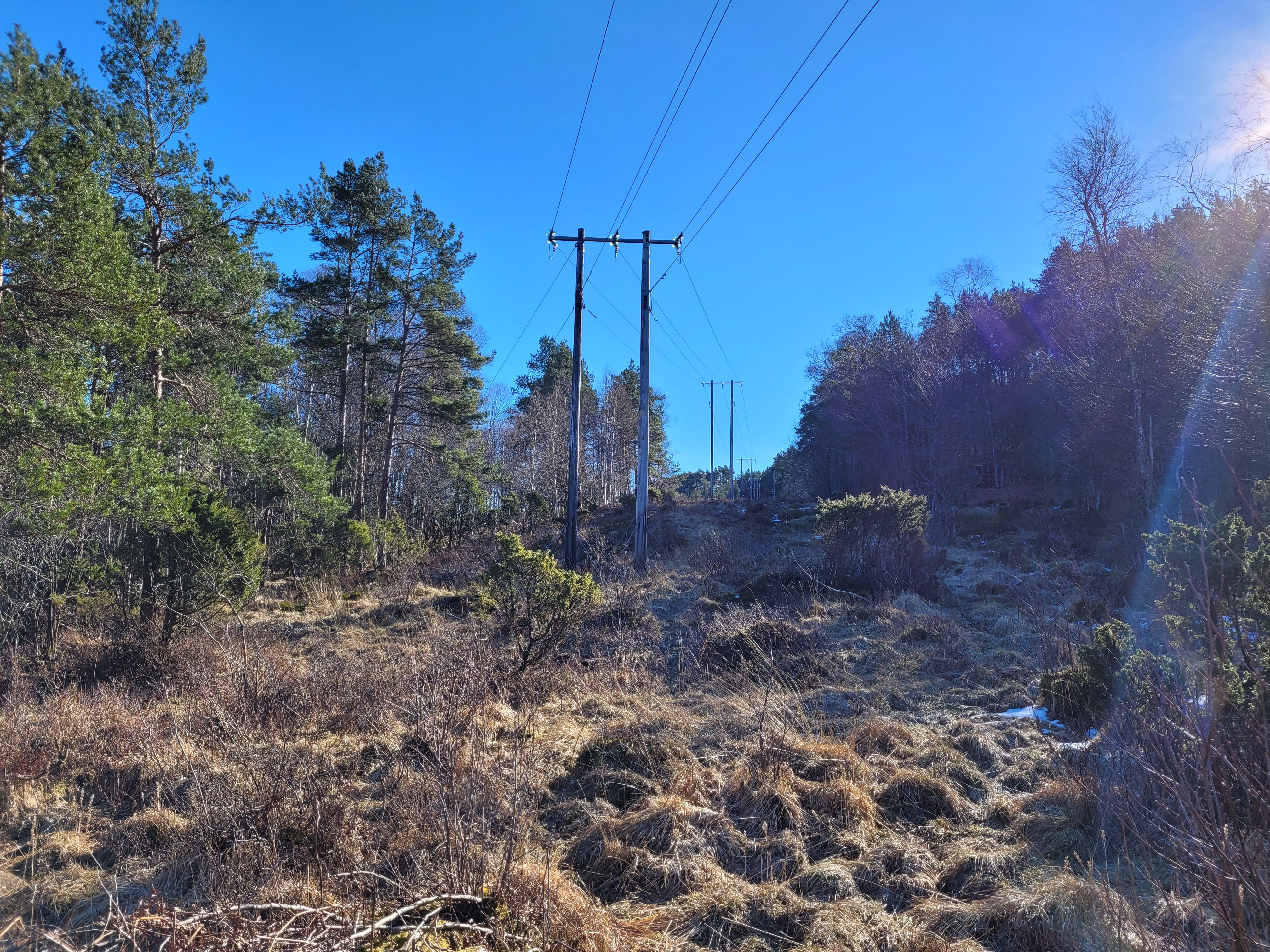 Foto: Hauk Sunde / Lysna