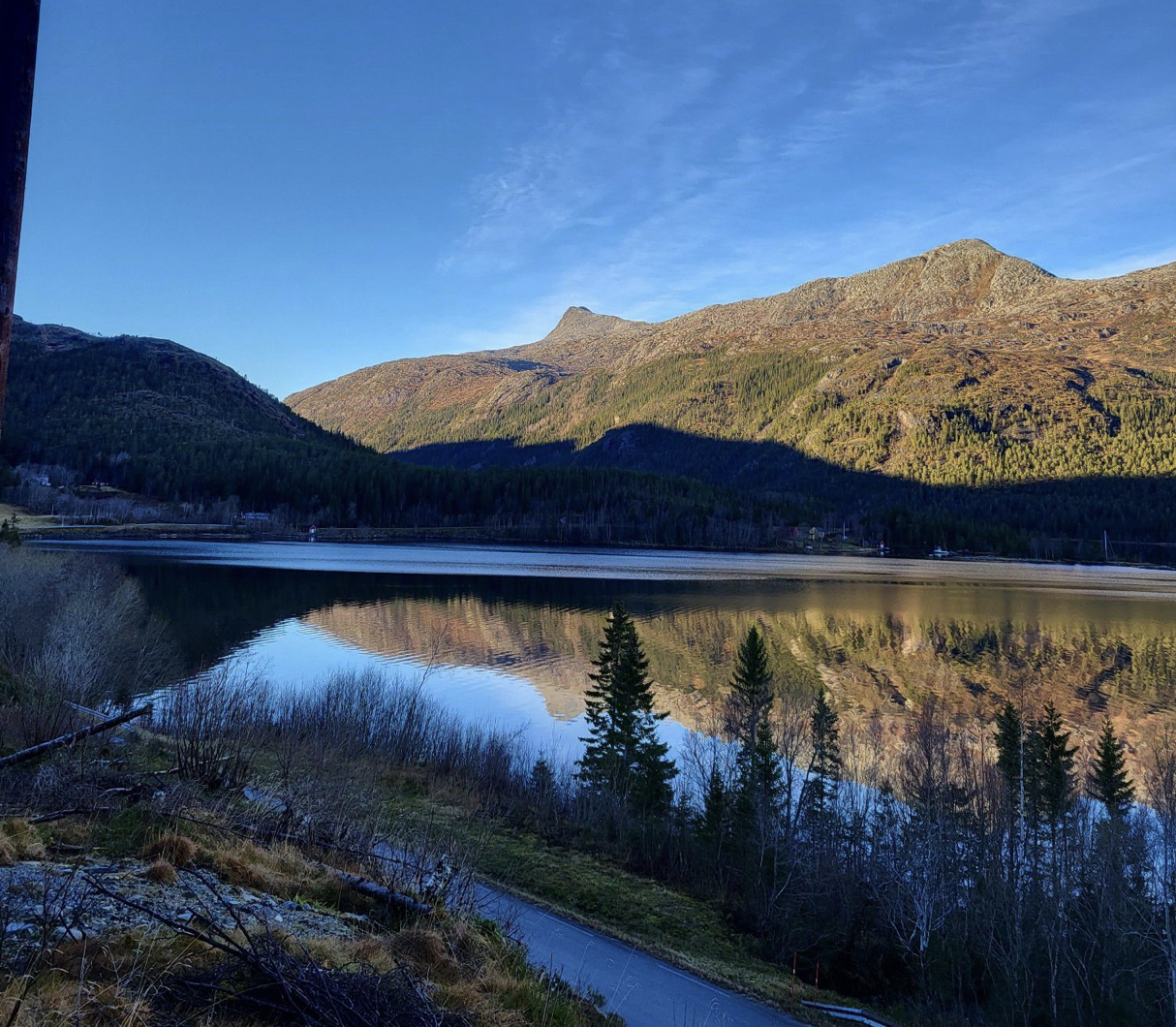 Skjermbilde 2022-11-10 kl. 17.09.05.png