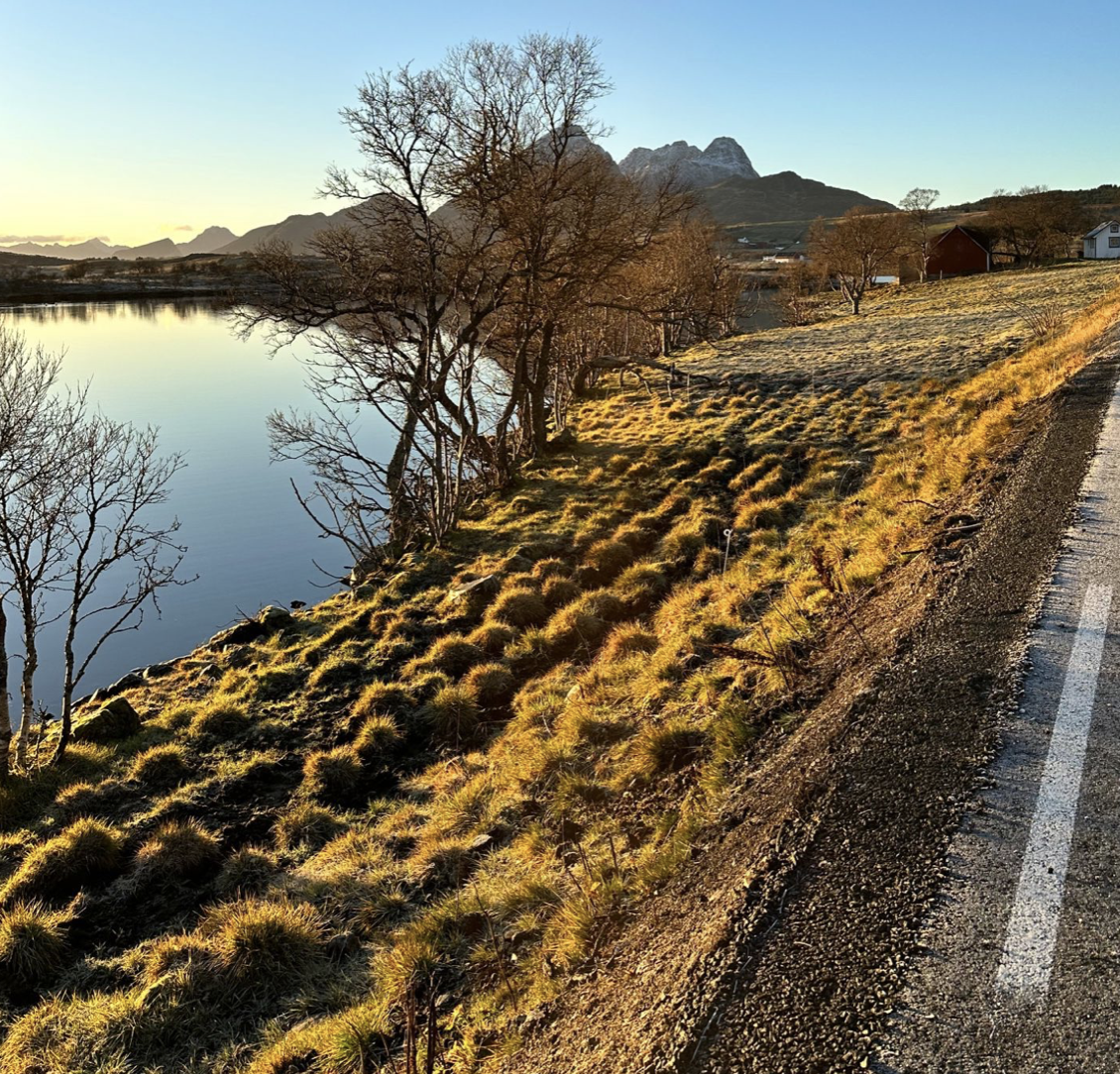 Skjermbilde 2022-11-10 kl. 17.07.34.png