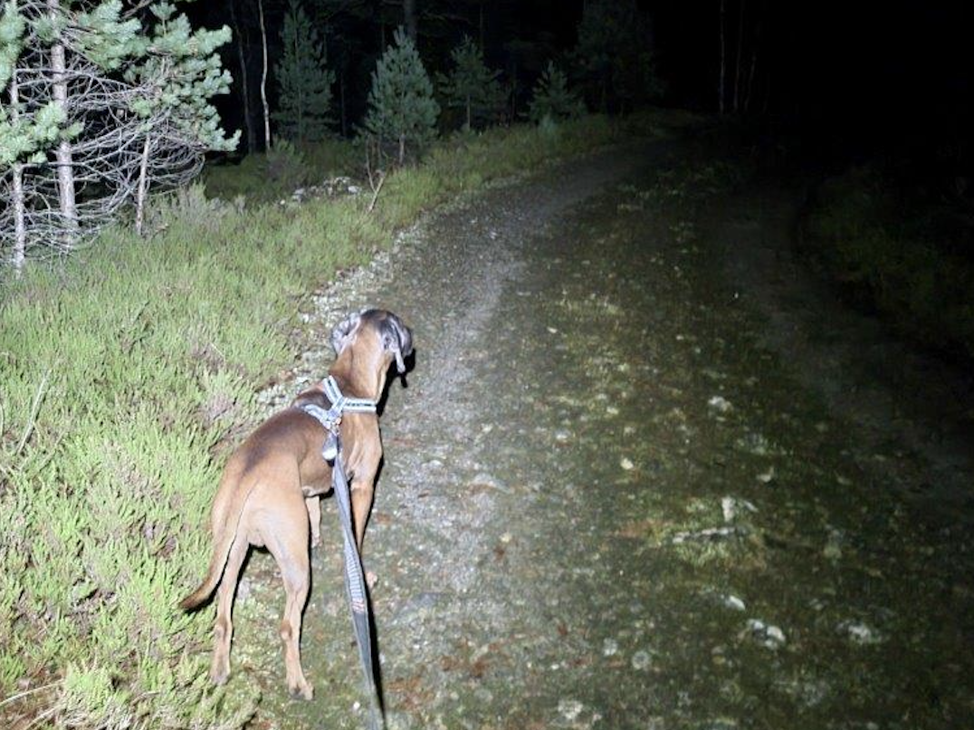 Skjermbilde 2022-11-17 kl. 16.21.38.png