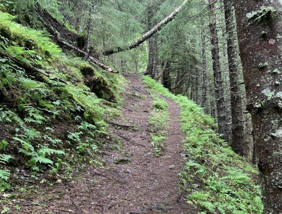 Skjermbilde 2022-11-17 kl. 16.22.24.png