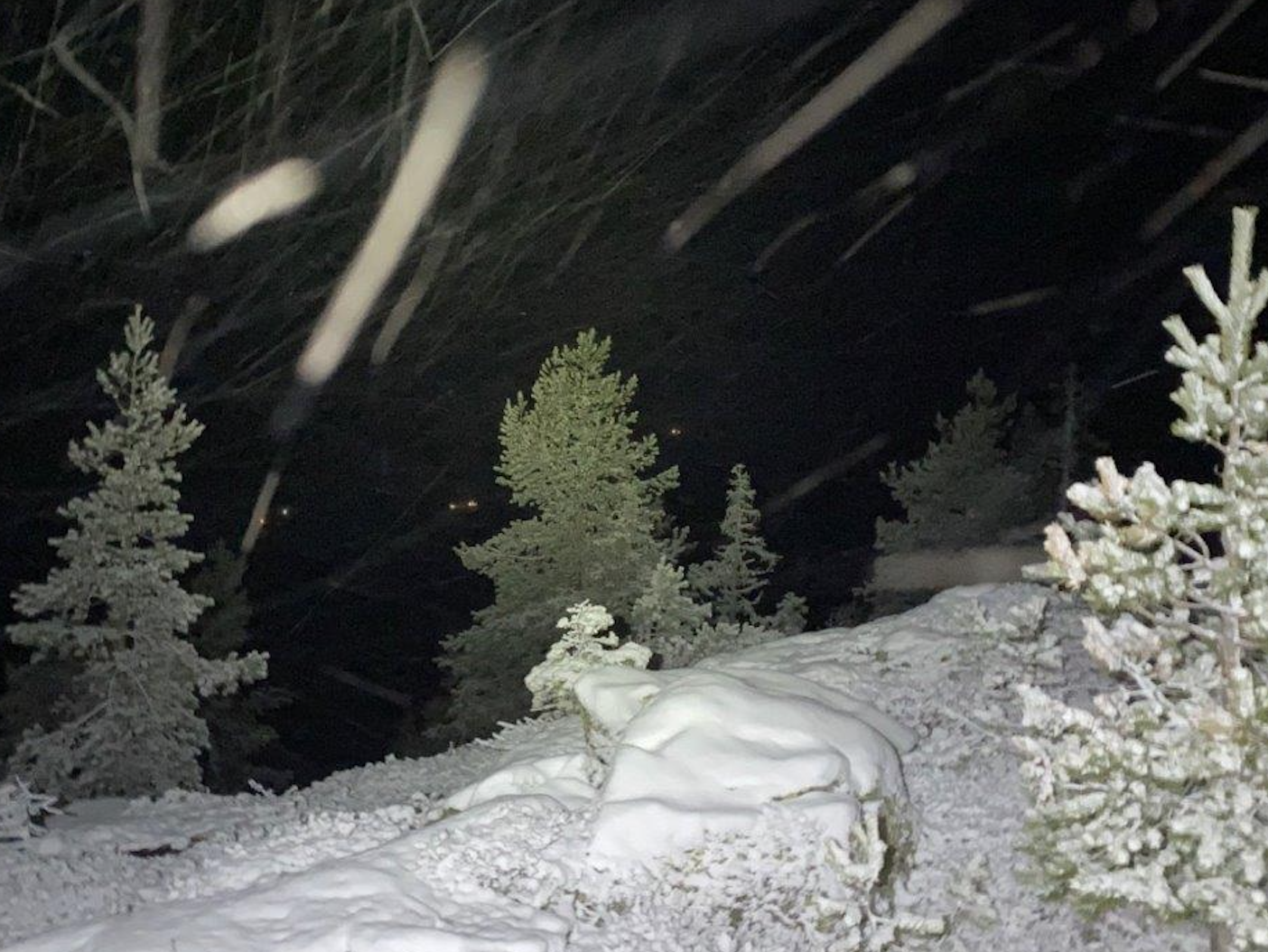 Skjermbilde 2022-11-17 kl. 16.23.22.png