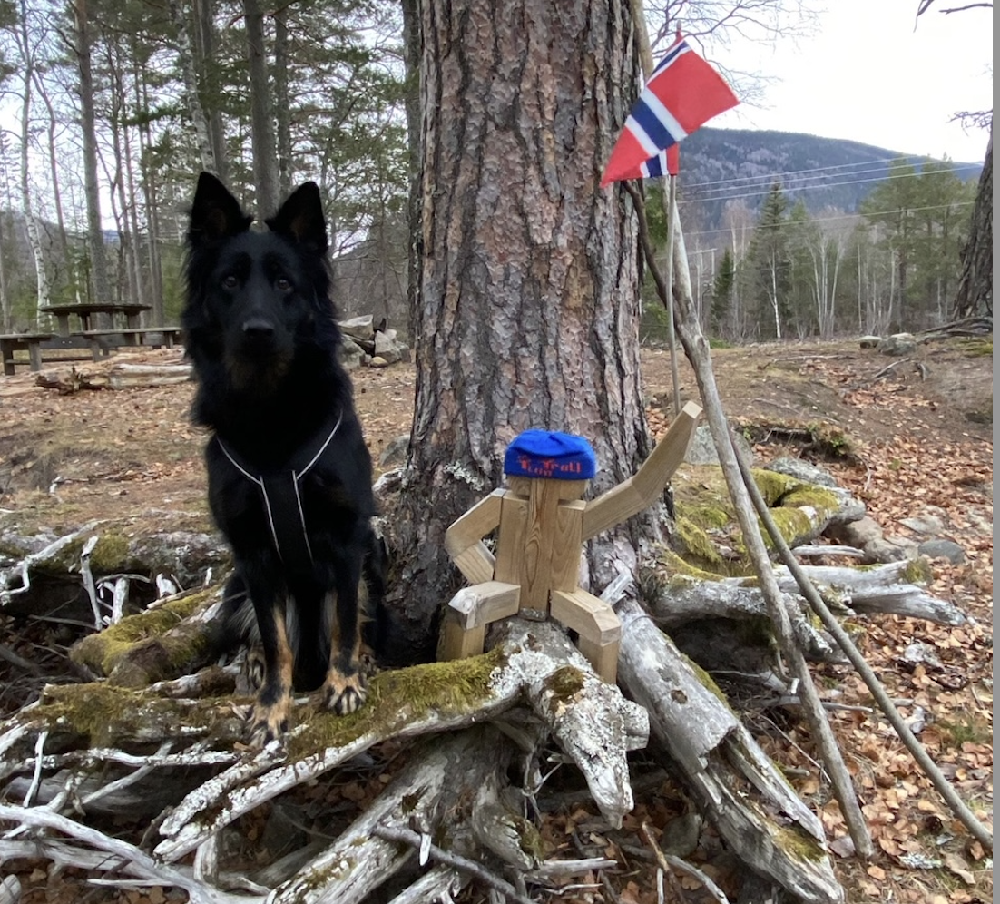 Skjermbilde 2022-11-24 kl. 15.25.50.png