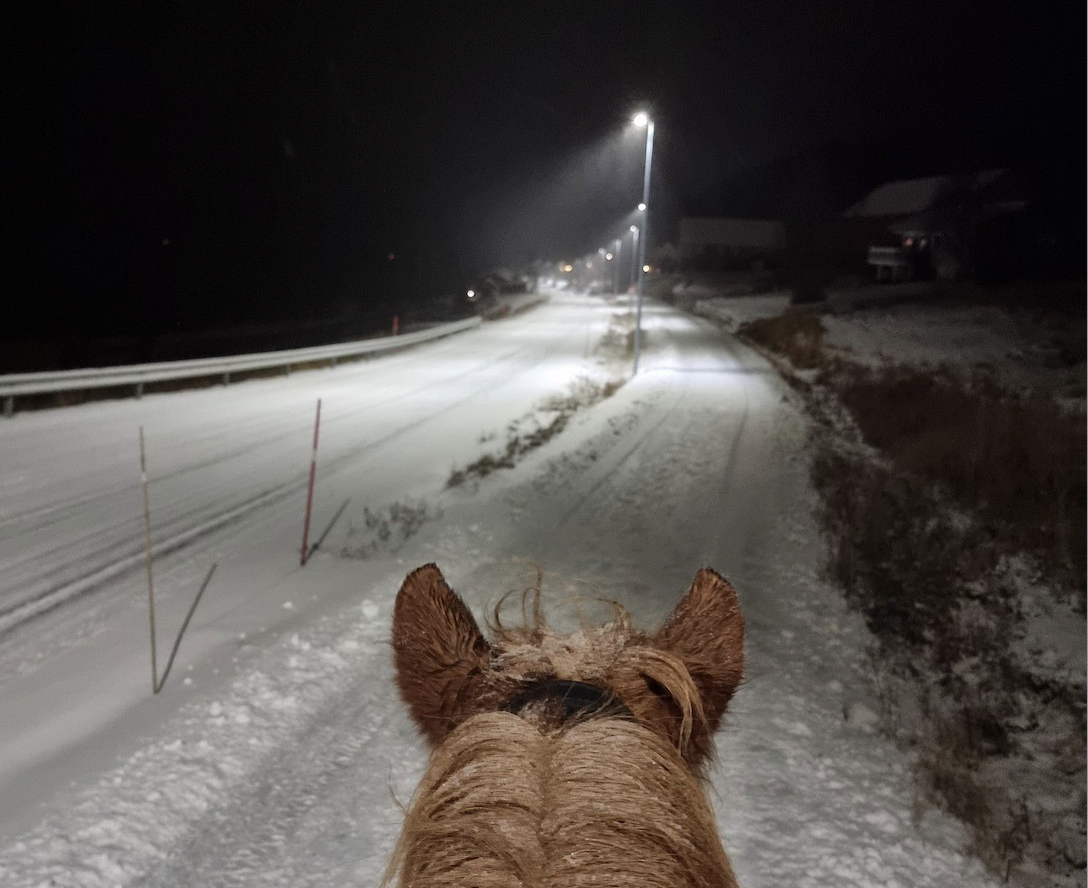 Skjermbilde 2022-11-24 kl. 15.27.26.png