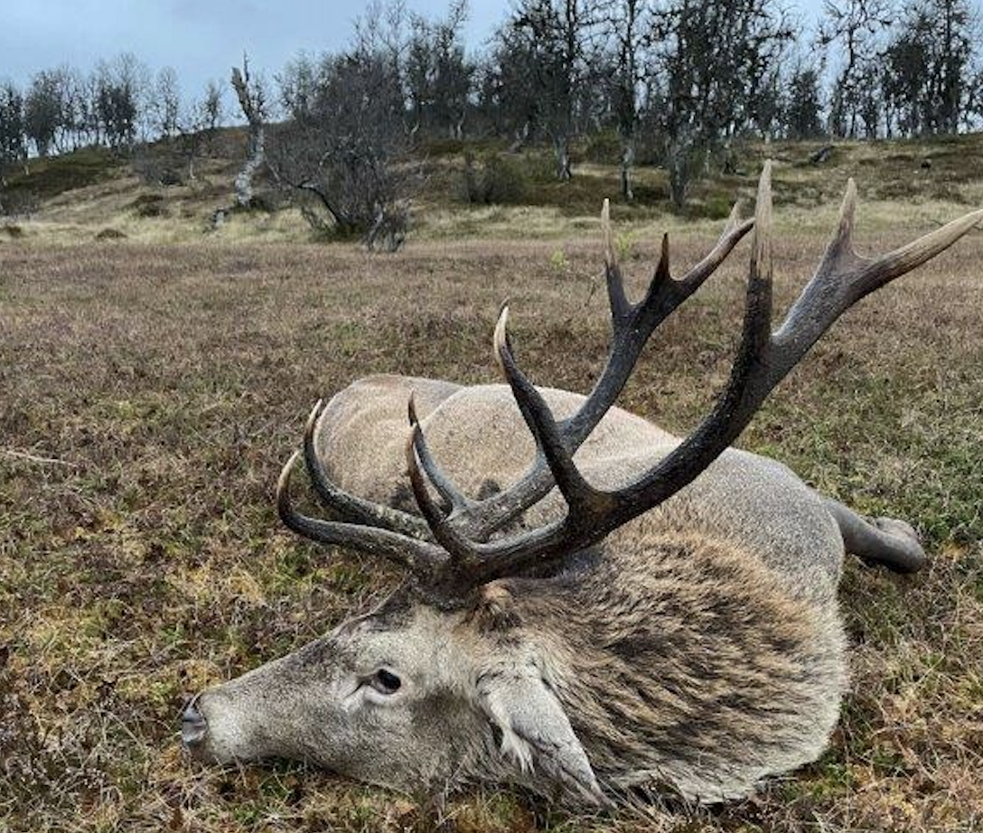 Skjermbilde 2022-12-02 kl. 08.11.41.png