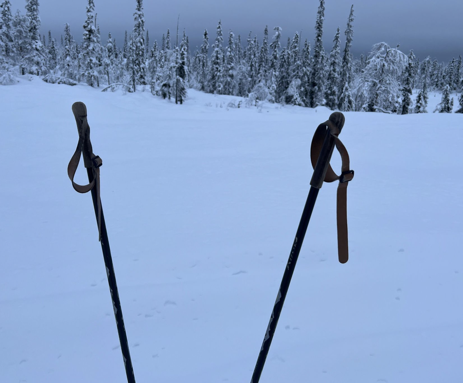 Skjermbilde 2022-12-08 kl. 14.10.52.png