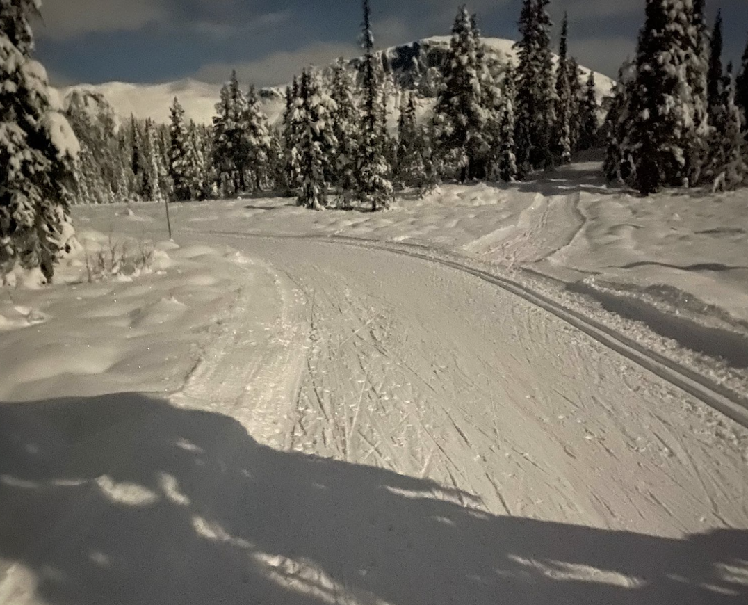 Skjermbilde 2022-12-08 kl. 14.11.23.png