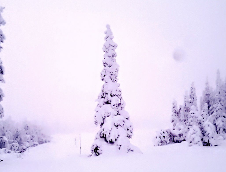 Skjermbilde 2022-12-08 kl. 14.11.33.png