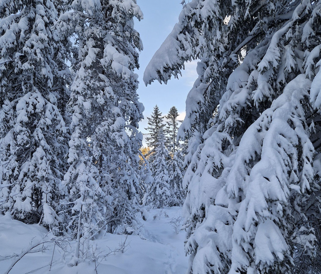 Skjermbilde 2022-12-08 kl. 14.11.54.png