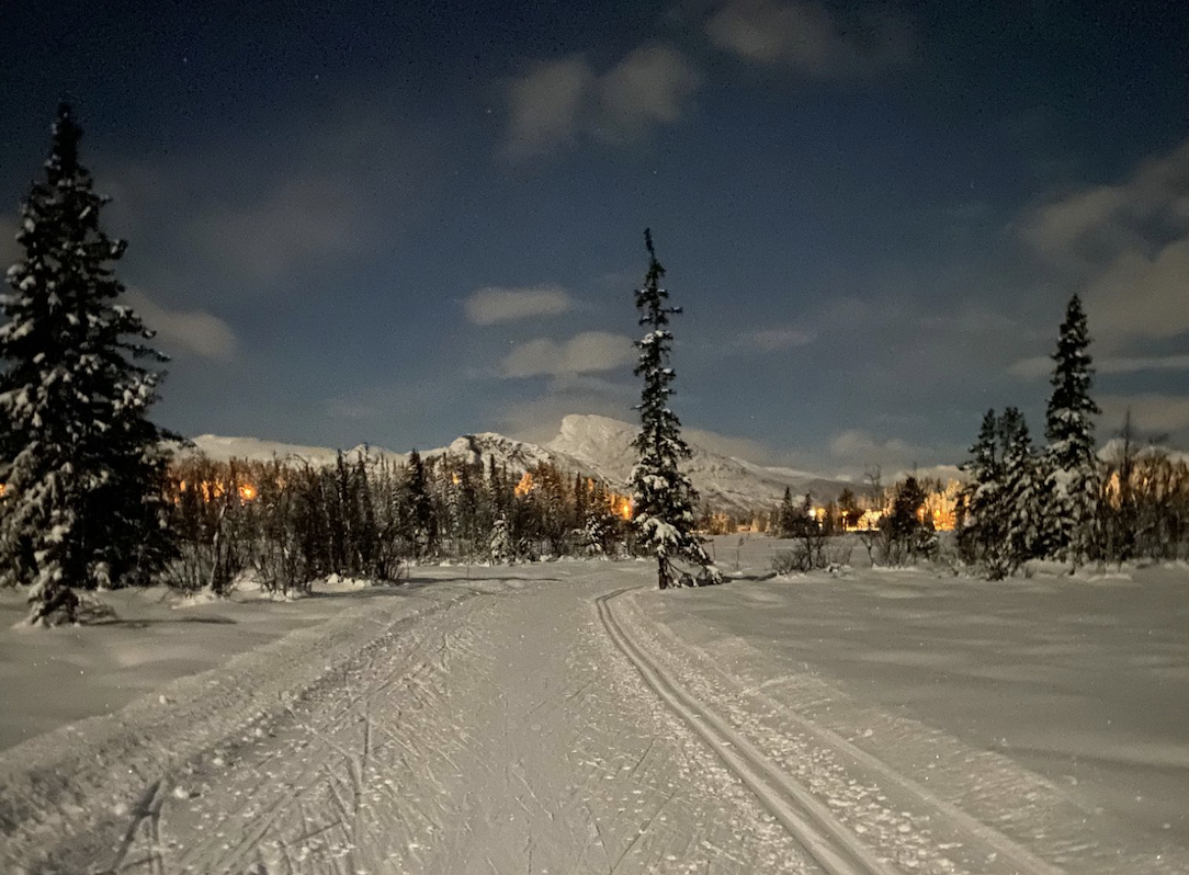 Skjermbilde 2022-12-08 kl. 14.12.12.png