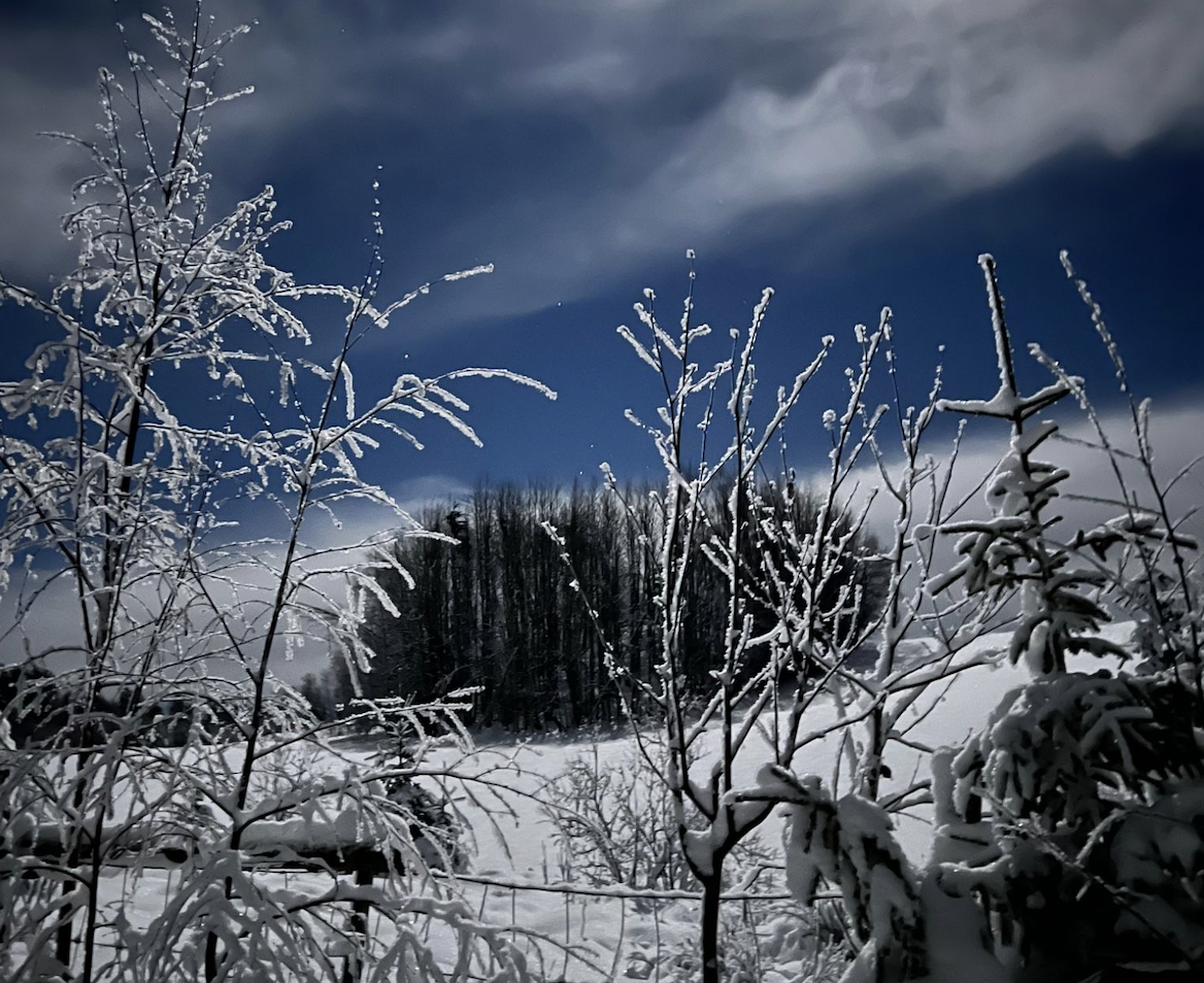 Skjermbilde 2022-12-08 kl. 14.13.00.png