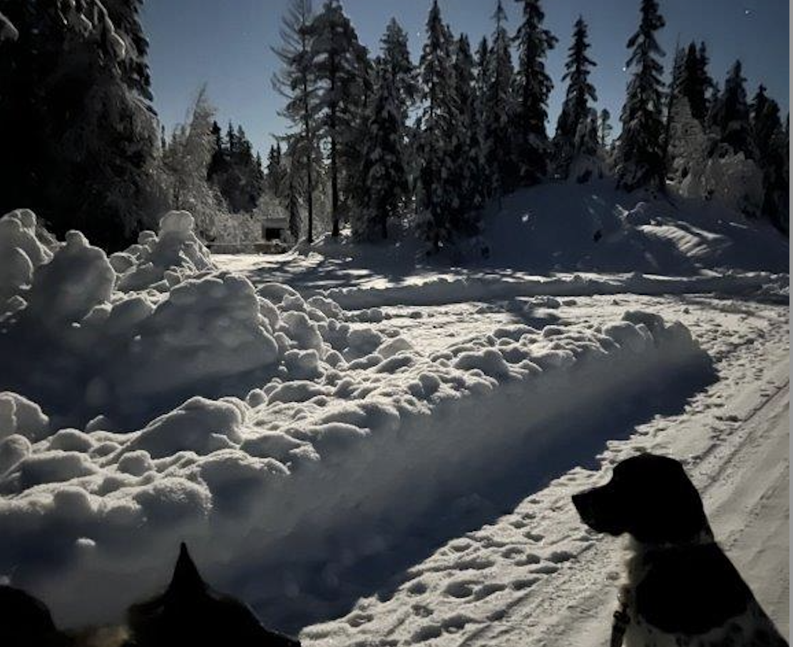 Skjermbilde 2022-12-15 kl. 08.51.45.png