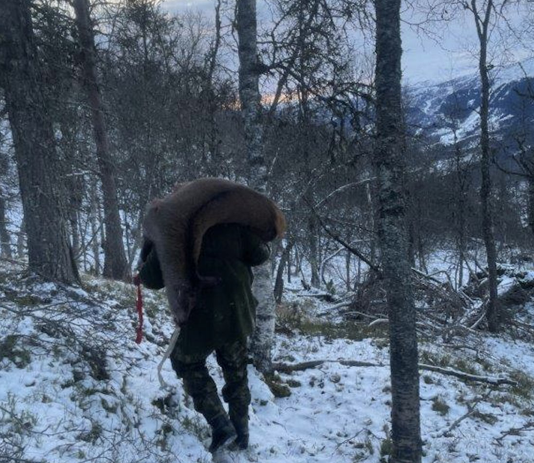 Skjermbilde 2022-12-15 kl. 10.15.58.png