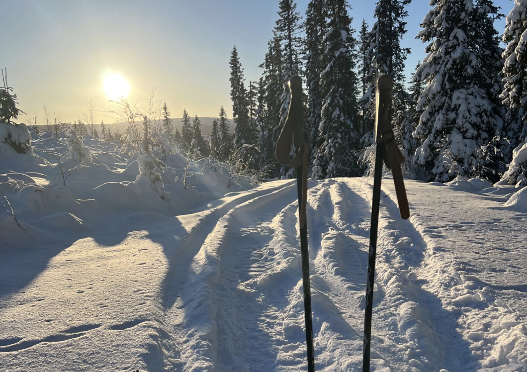 Skjermbilde 2022-12-20 kl. 09.23.05.png