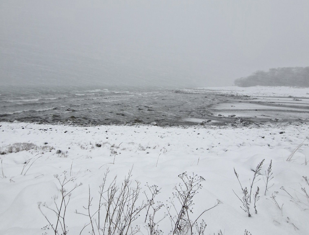 Skjermbilde 2022-12-20 kl. 09.22.36.png