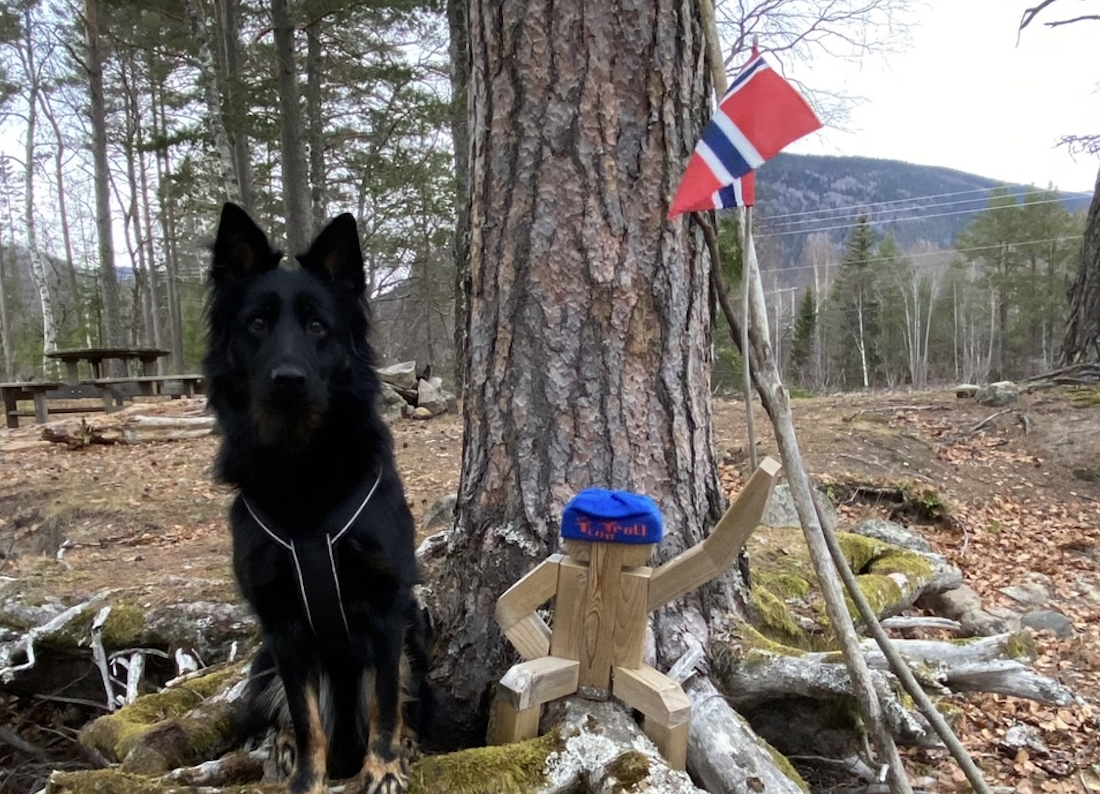 Skjermbilde 2022-12-21 kl. 09.07.00.png