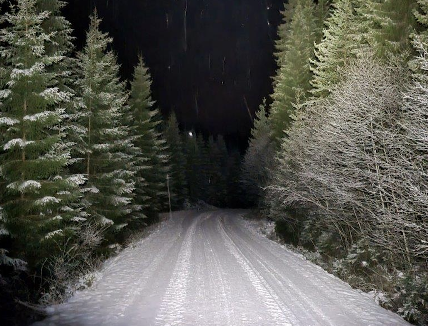 Skjermbilde 2022-12-21 kl. 09.07.35.png