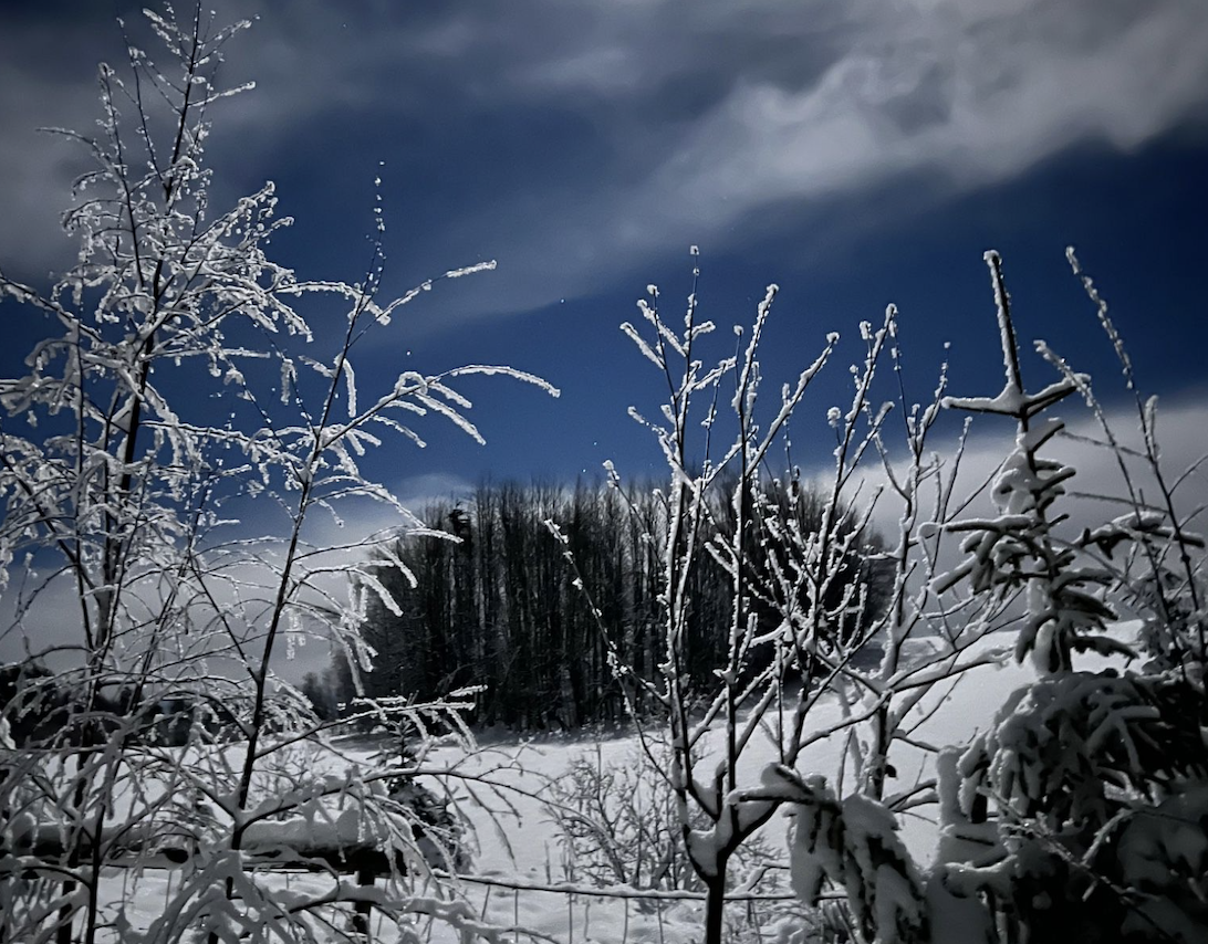 Skjermbilde 2022-12-21 kl. 09.08.11.png