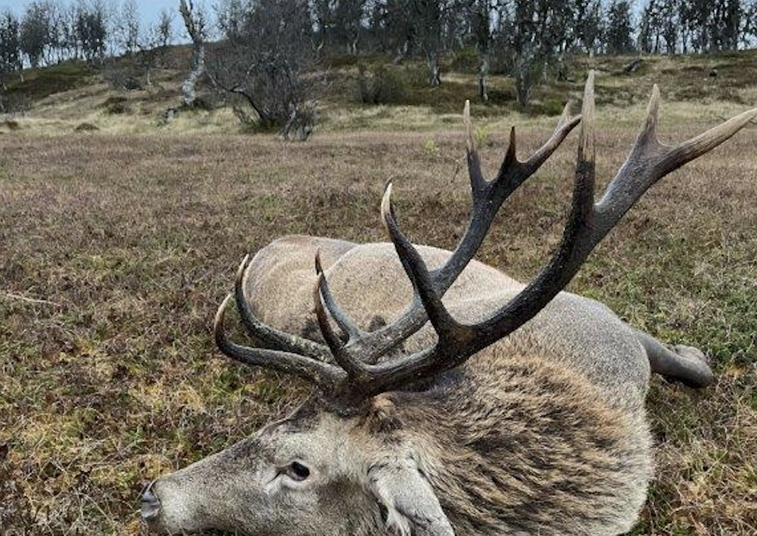 Skjermbilde 2022-12-21 kl. 09.09.21.png