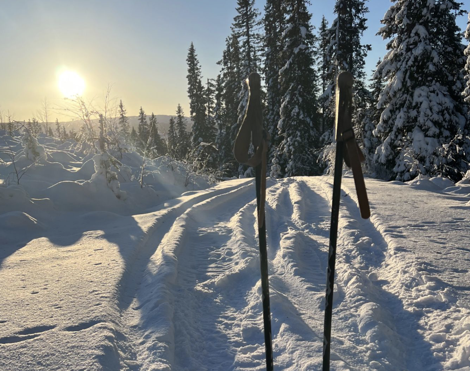 Skjermbilde 2022-12-21 kl. 09.11.05.png