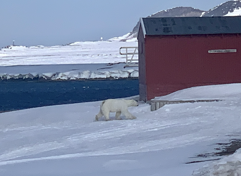 Skjermbilde 2023-03-23 kl. 13.47.29.png