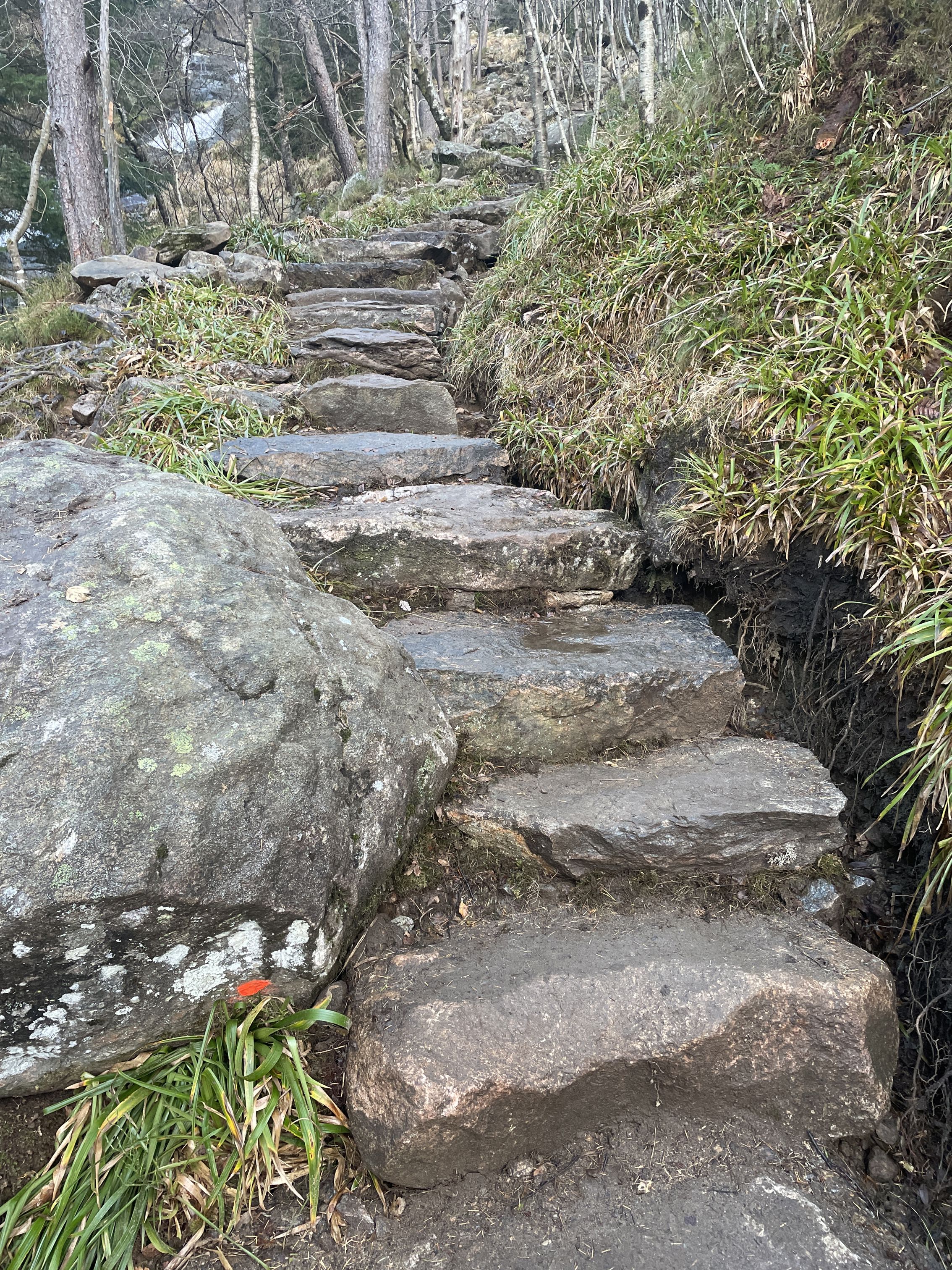 Activity_12395_133440123491244425.jpeg (1)