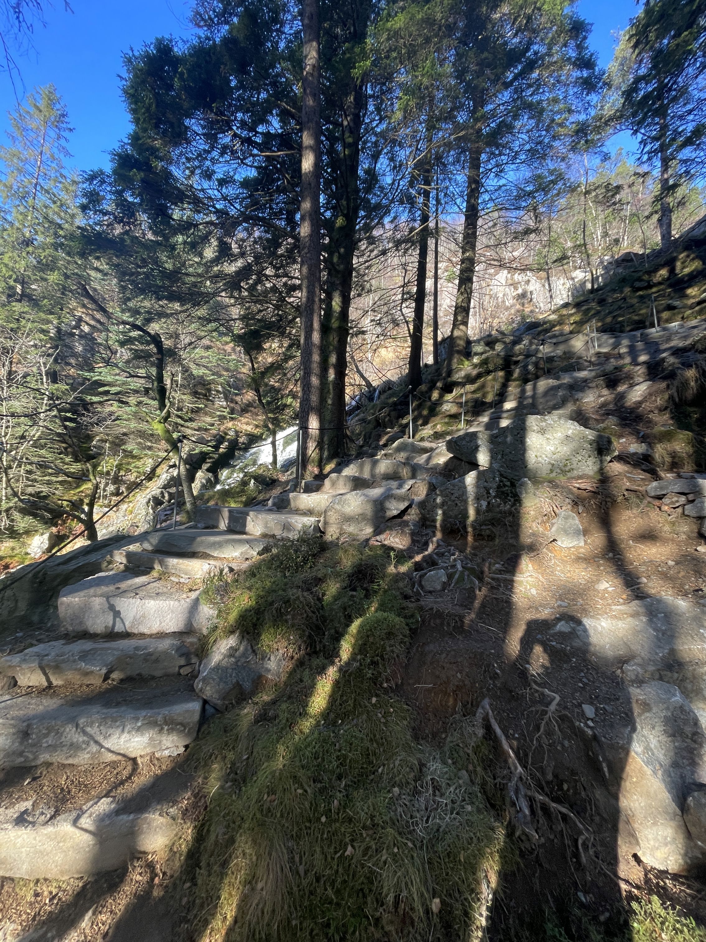 Activity_12395_133440124020849502.jpeg (1)