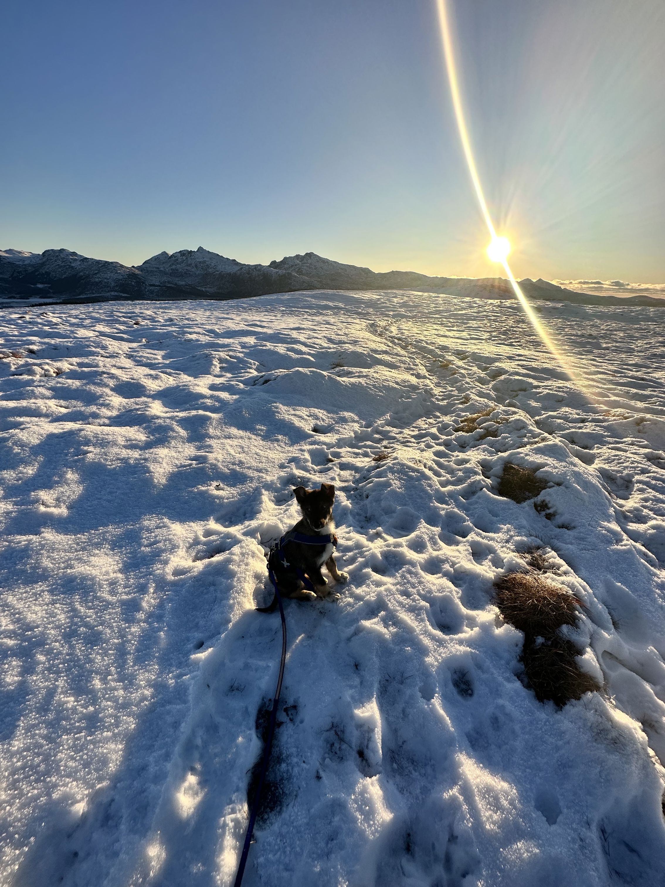 Activity_12468_133440404551341444.jpeg (1)