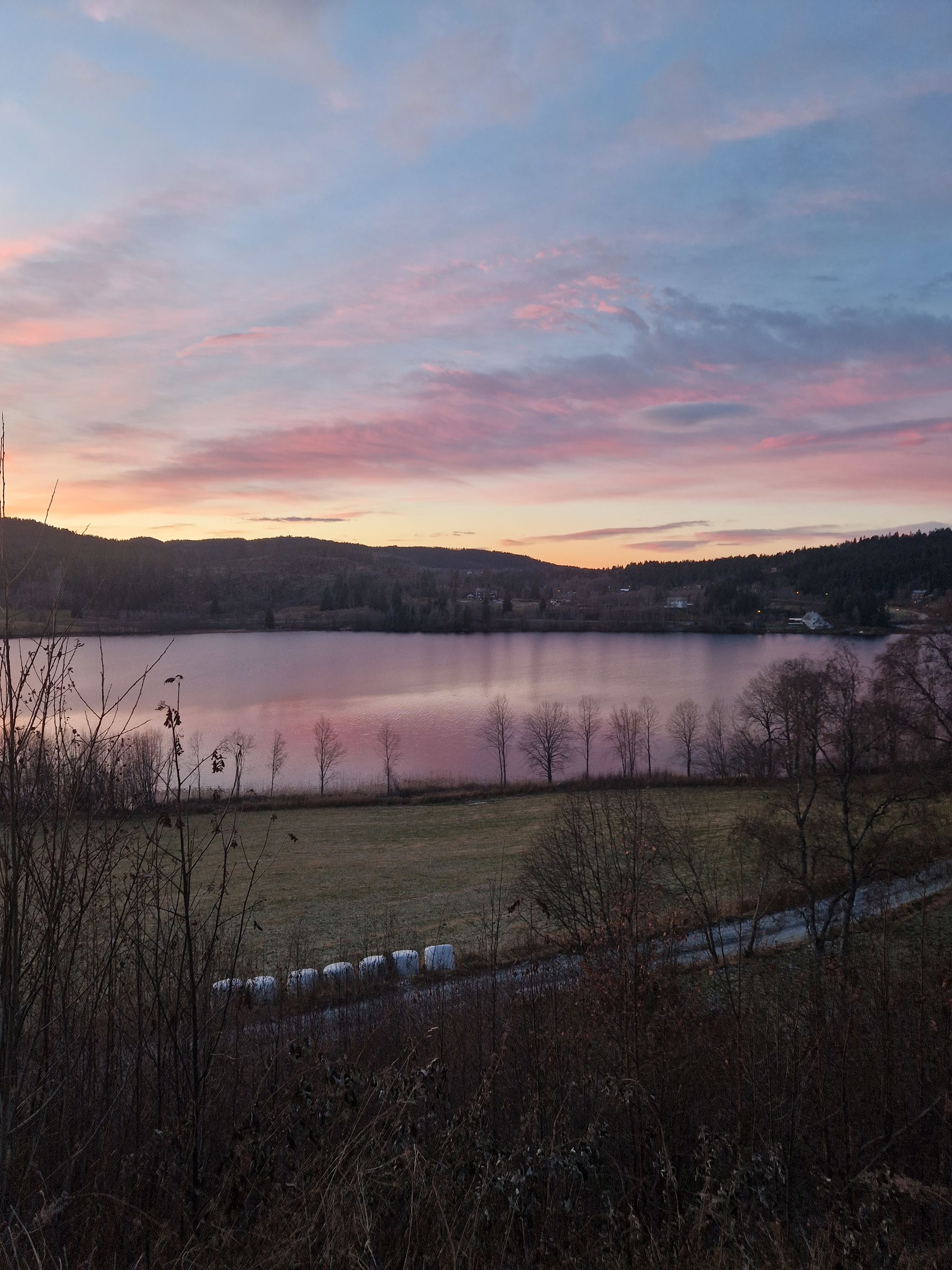 Activity_12640_133441904551372111.jpeg (1)