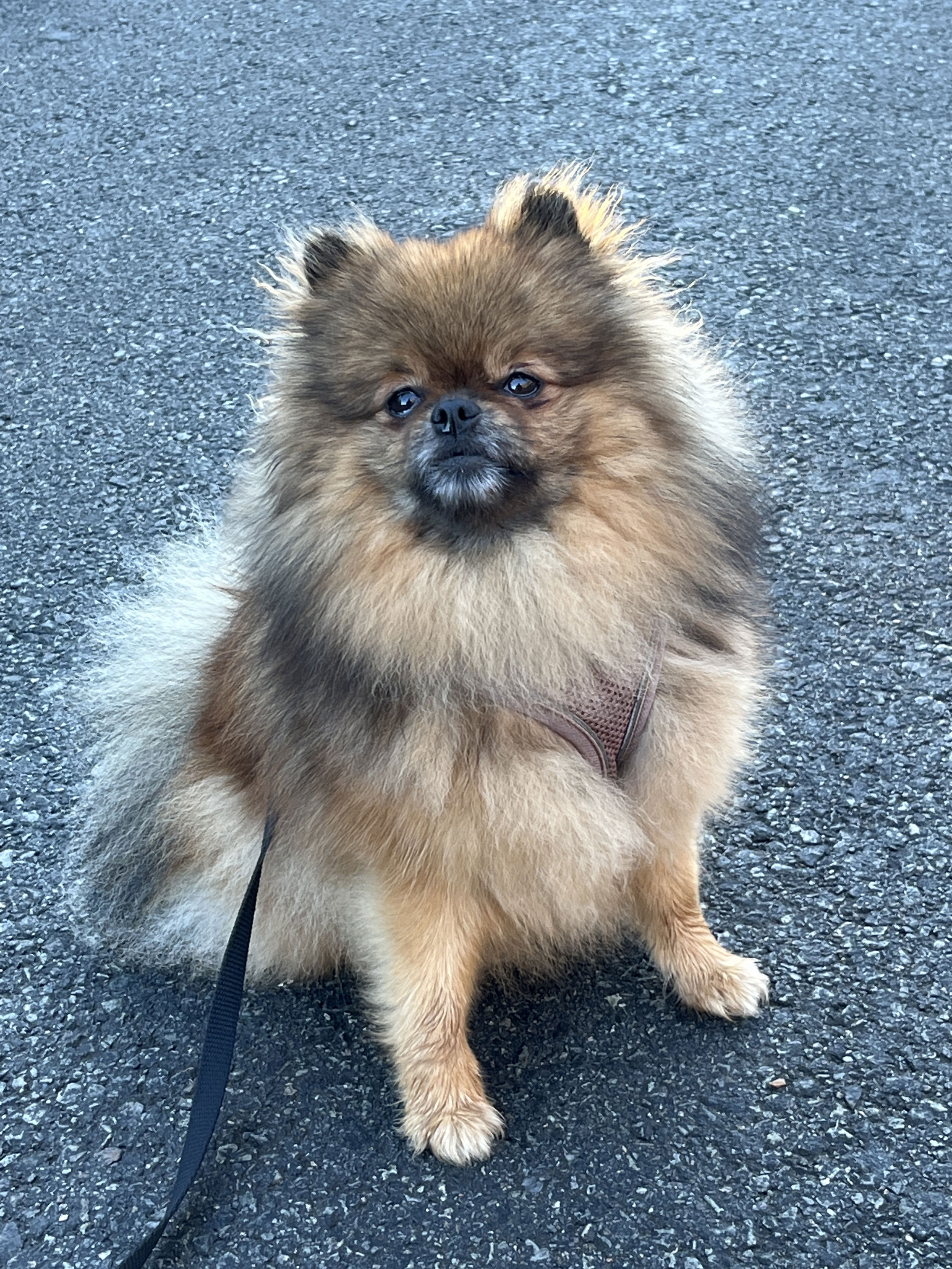 Activity_12707_133442675715548165.jpeg (1)