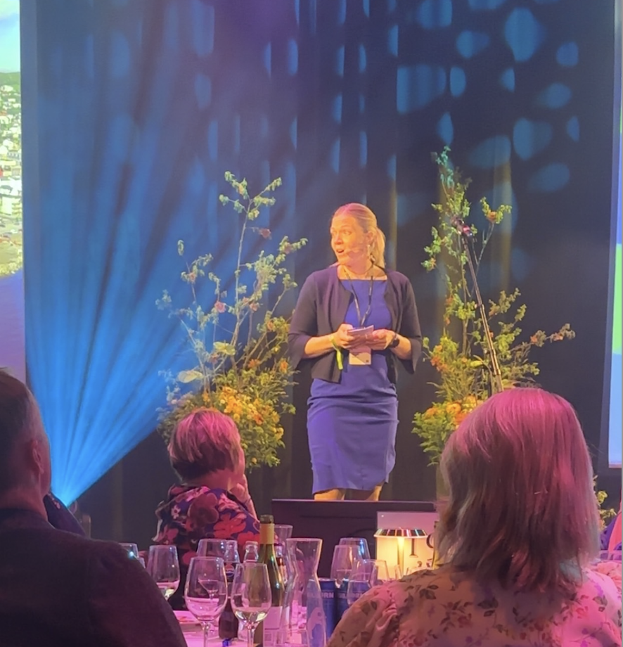 Skjermbilde 2025-06-12 kl. 12.53.31.png