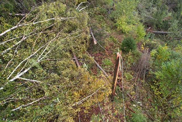 dji_fly_20251004_122038_118_1759576425115_photo.JPG