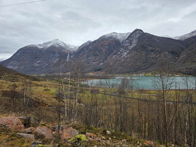 Gerd - Breheim Nett