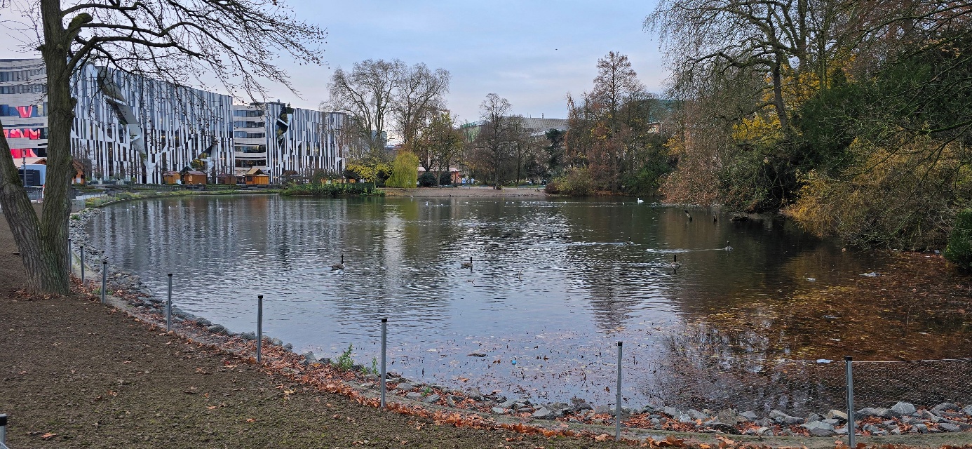 Liv Margot fra Jæren: Morgenjogg i Düsseldorf med sightseeing