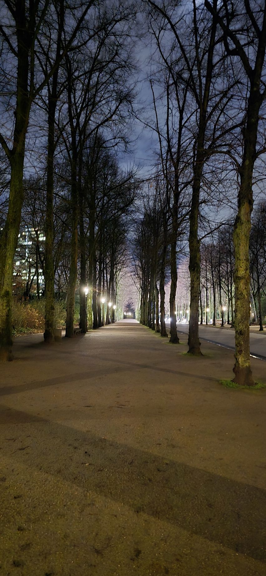 Liv Margot fra Jæren: Morgenjogg i Düsseldorf med sightseeing