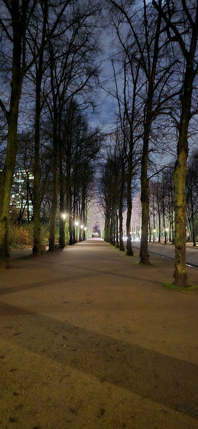 Liv Margot fra Jæren: Morgenjogg i Düsseldorf med sightseeing