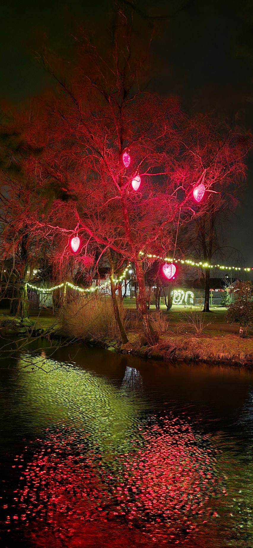 Liv Margot fra Jæren: Gåtur hjem fra trening 