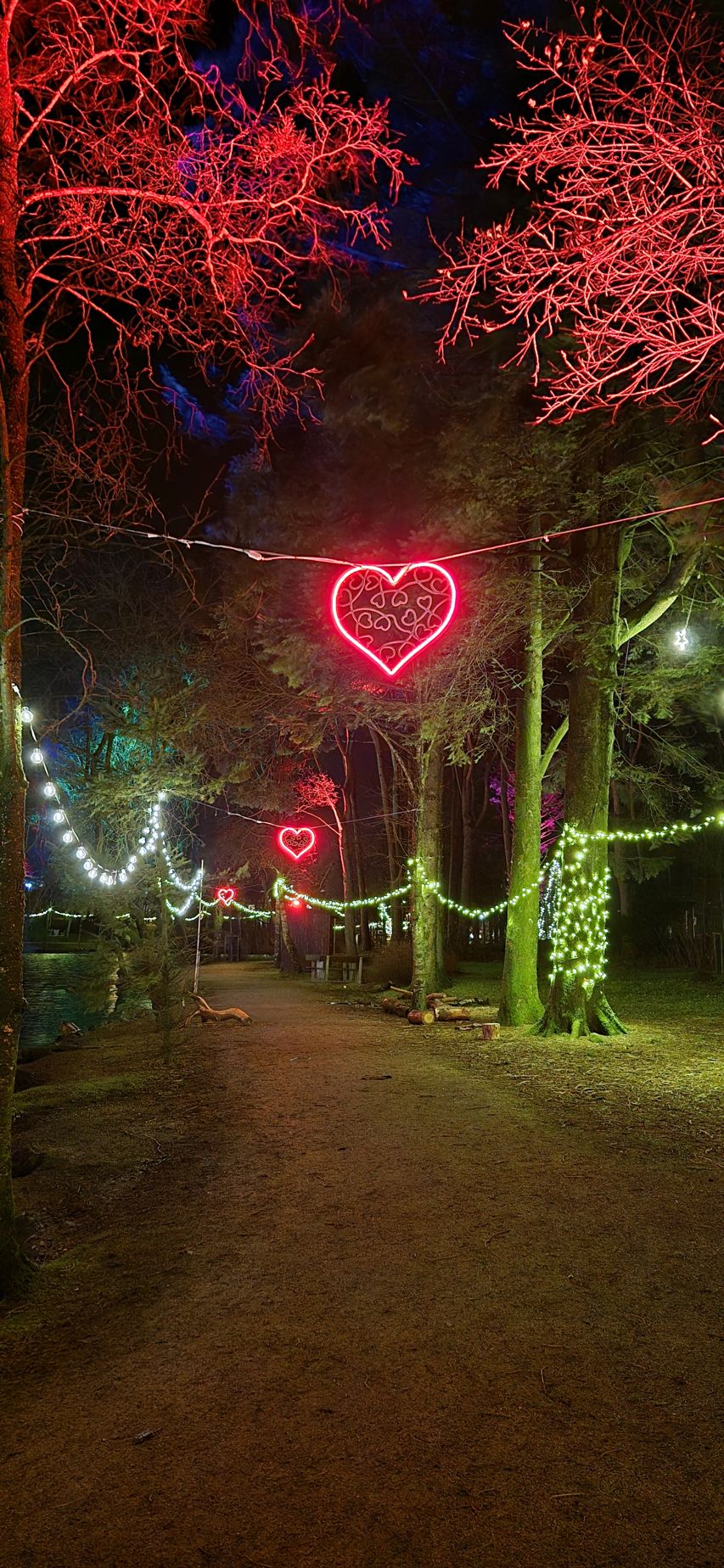 Liv Margot fra Jæren: Gåtur hjem fra trening 