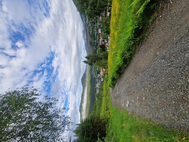 20260609_073653.jpg