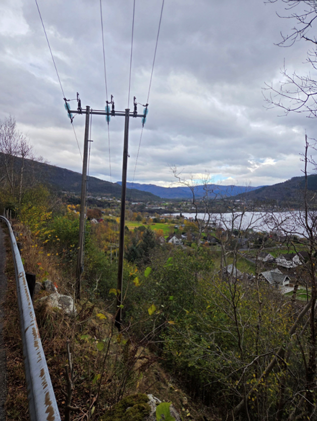 Lysna, Tove Hjartnes Fosså: Jogging 